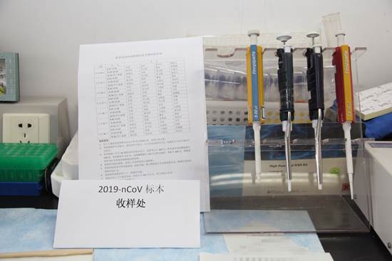 打码后 打码后